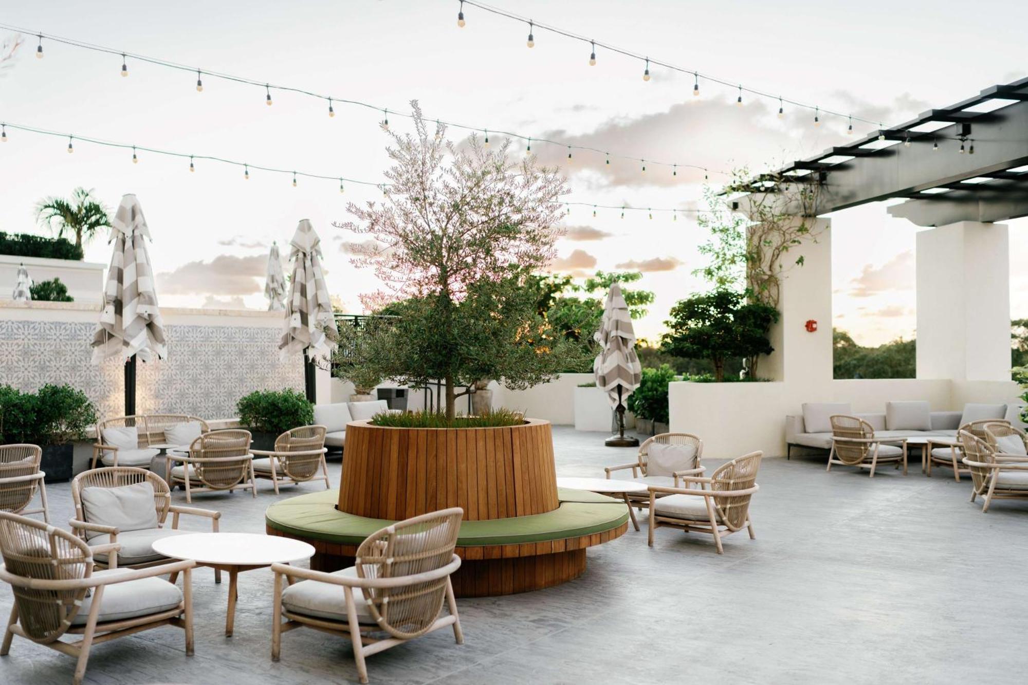 Thesis Hotel Miami Coral Gables, Curio Collection By Hilton Екстер'єр фото
